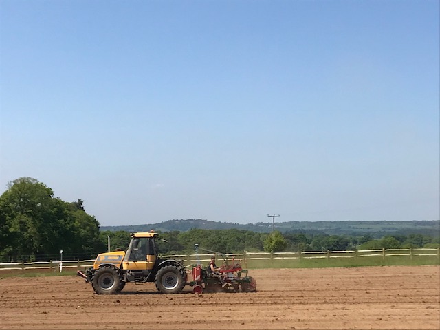 Vineyard Planting